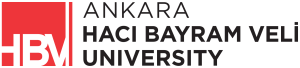 hbv logo ingilizce